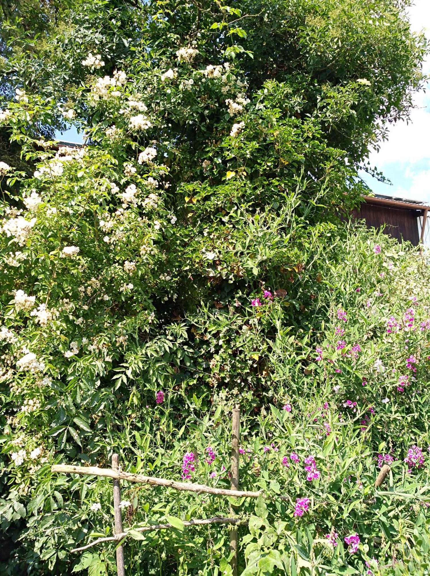 Hotel Landhaus Fohlenhof Paradies Im Gruenen Mehrstetten Exterior foto